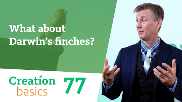 S1E77 What about Darwin's finches?