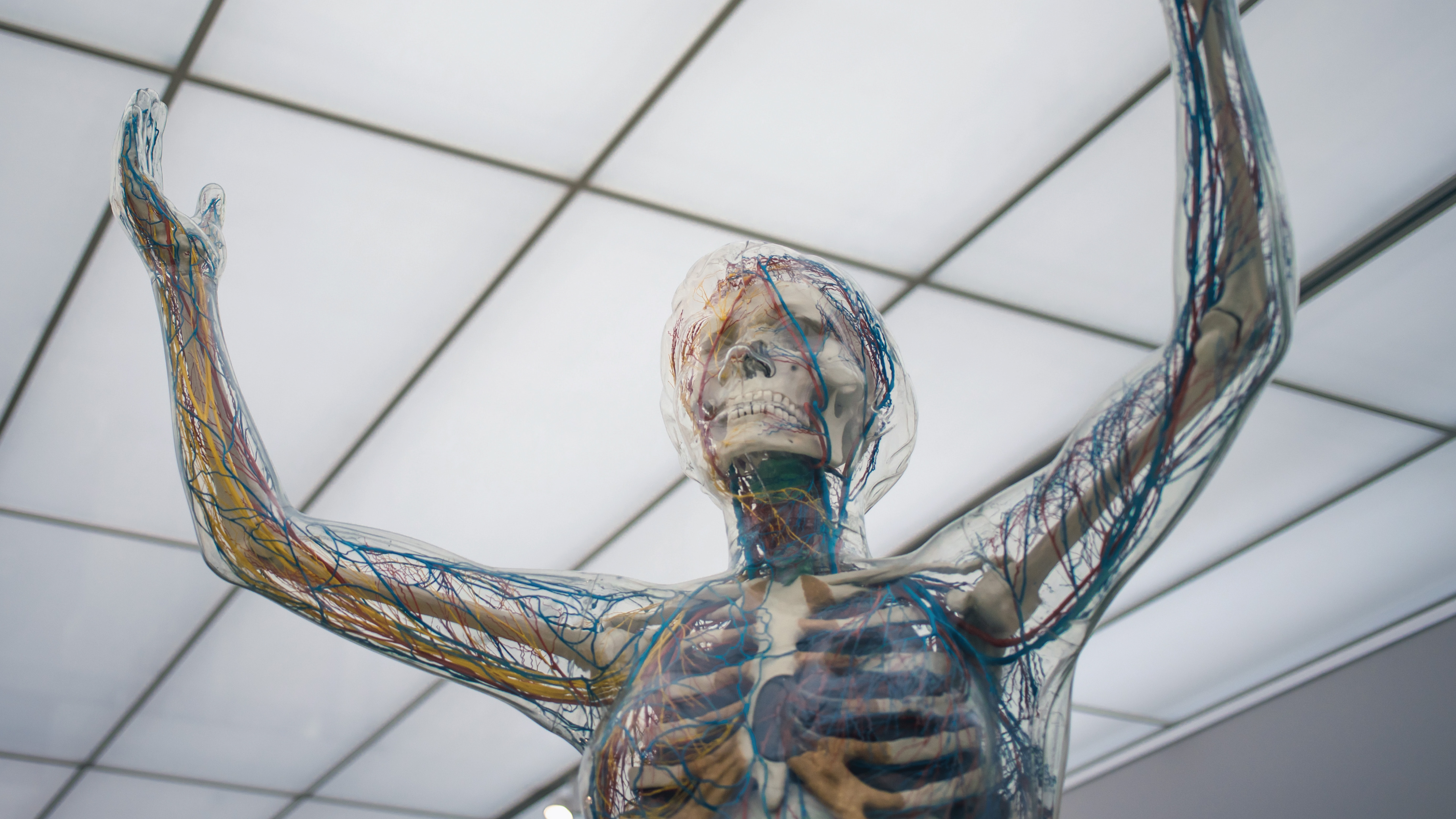 S2E14 Unlocking Circulation