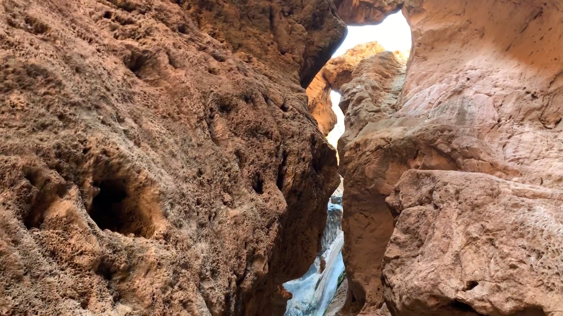 Elijah Flees from Ahab and Jezebel