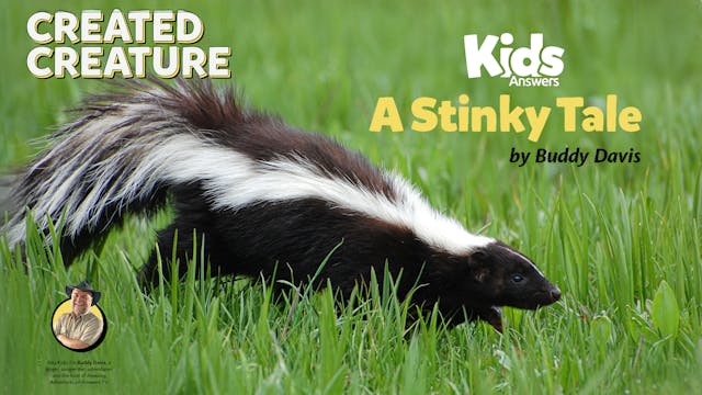 A Stinky Tale (Kids Answers Audio Art...