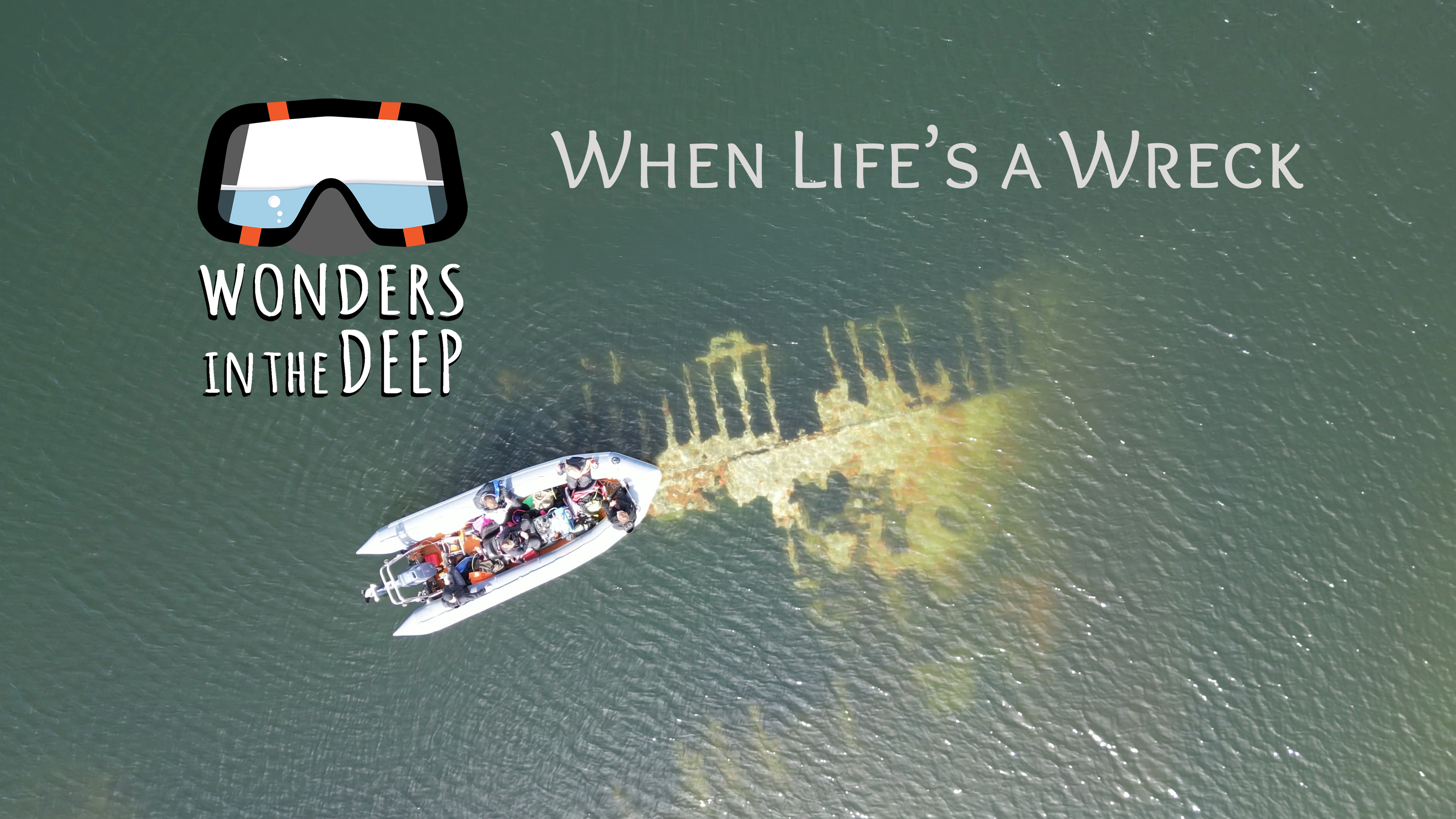 Wonders in the Deep: When Life's a Wreck