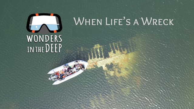 Wonders in the Deep: When Life's a Wreck