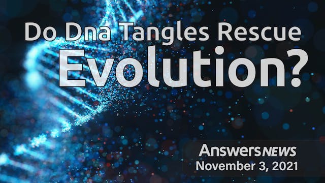 11/03 Do DNA Tangles Rescue Evolution?
