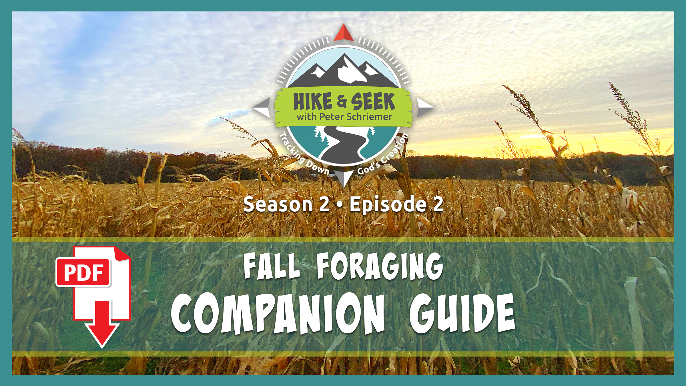 S2E2 Fall Foraging [Companion Guide]