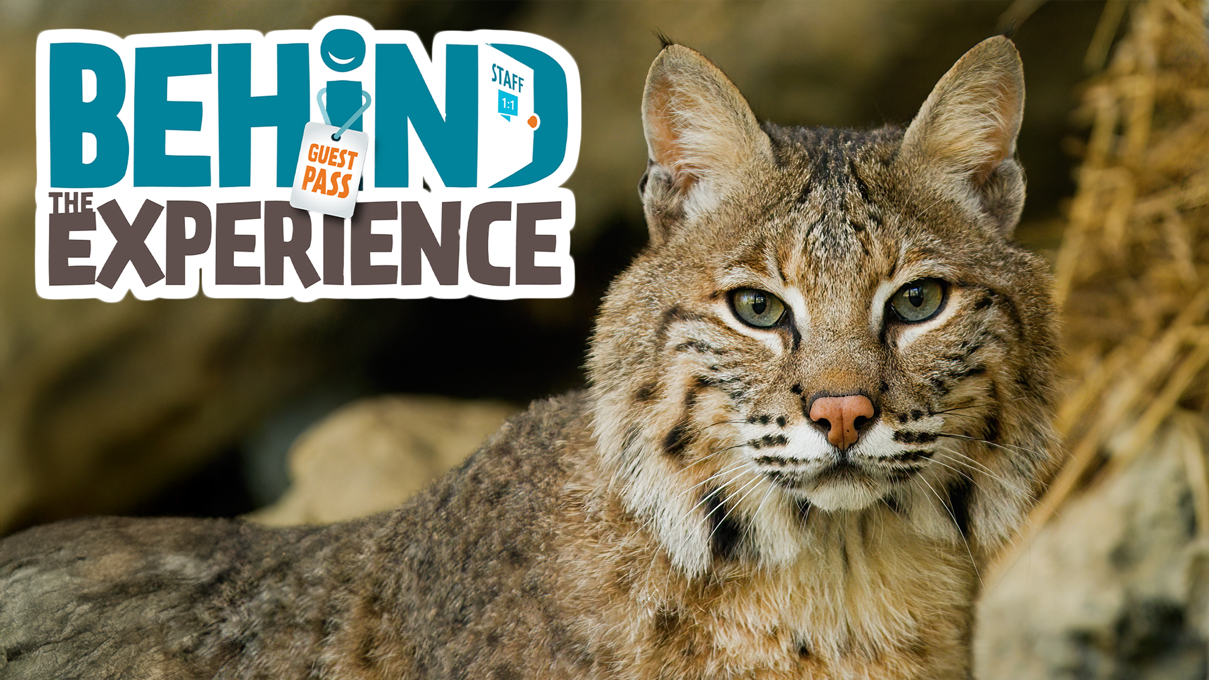 S2E3 In The Smokies With The Hike and Seek Crew Part 2