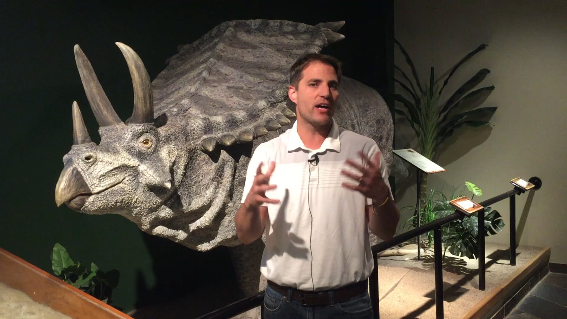 Dinosaurs and Dragons