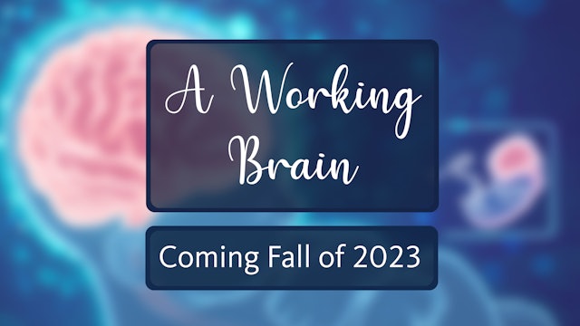 July 2024: A Working Brain