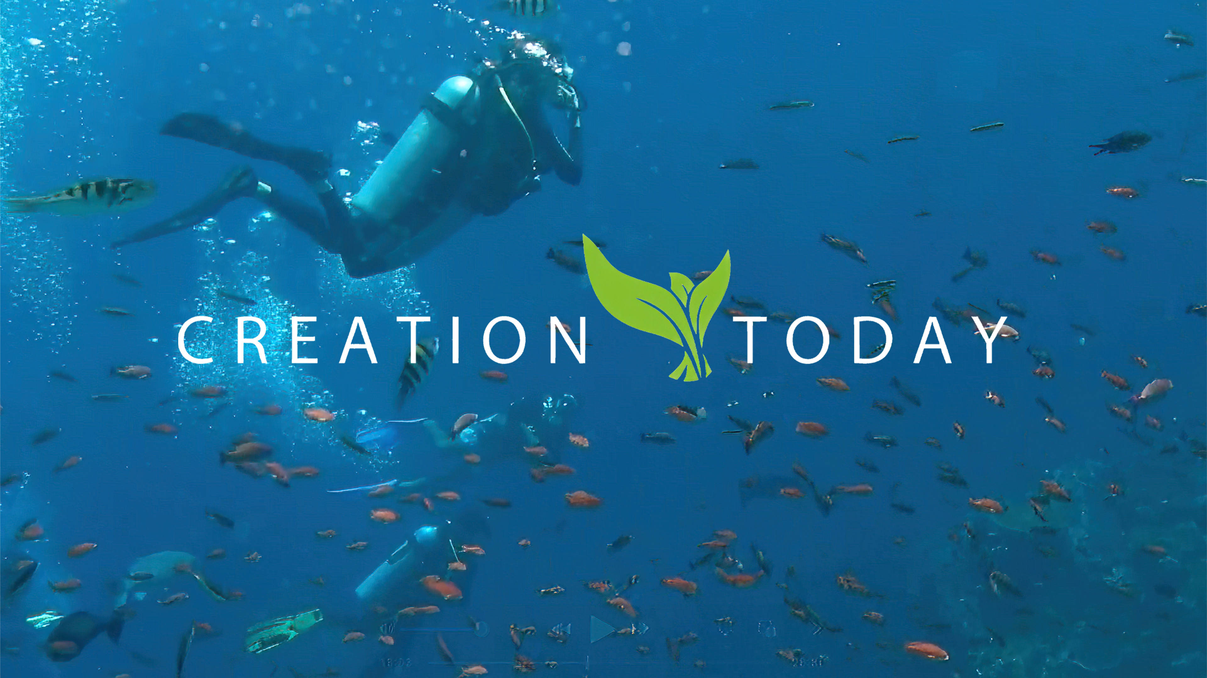 S1E6 Oceans: Earth’s Mysterious Abyss