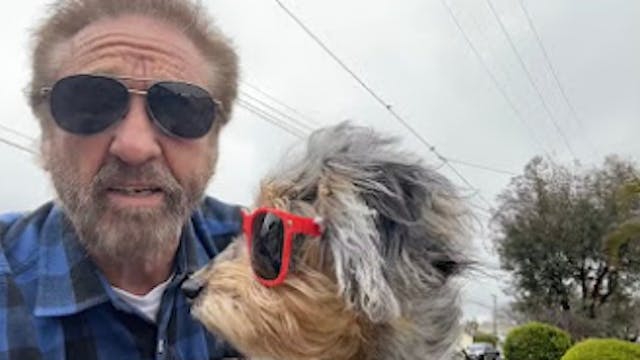 Lucy Was Almost Killed. Here's What H...