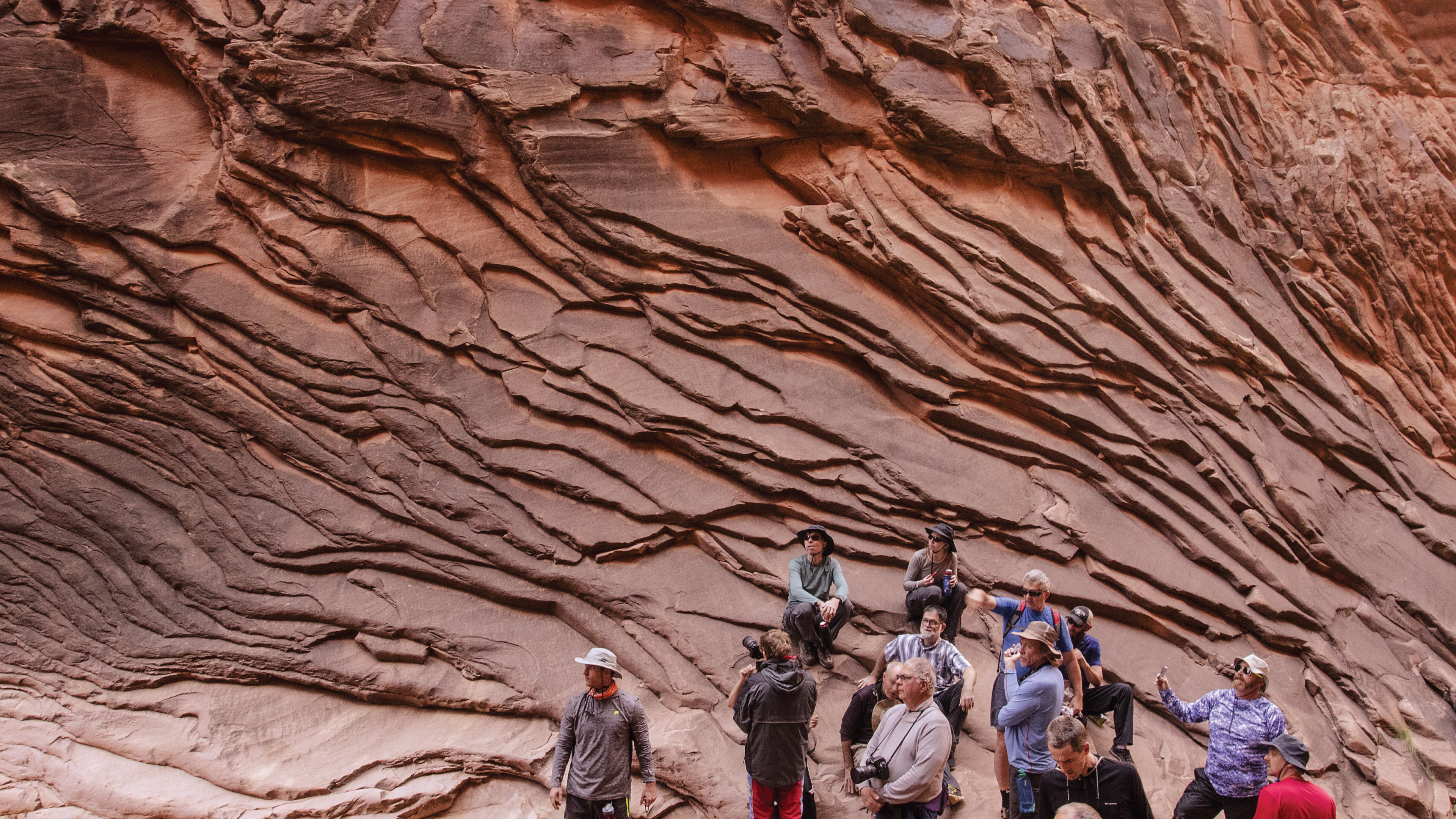 Scripture and Science Declare a Young Earth