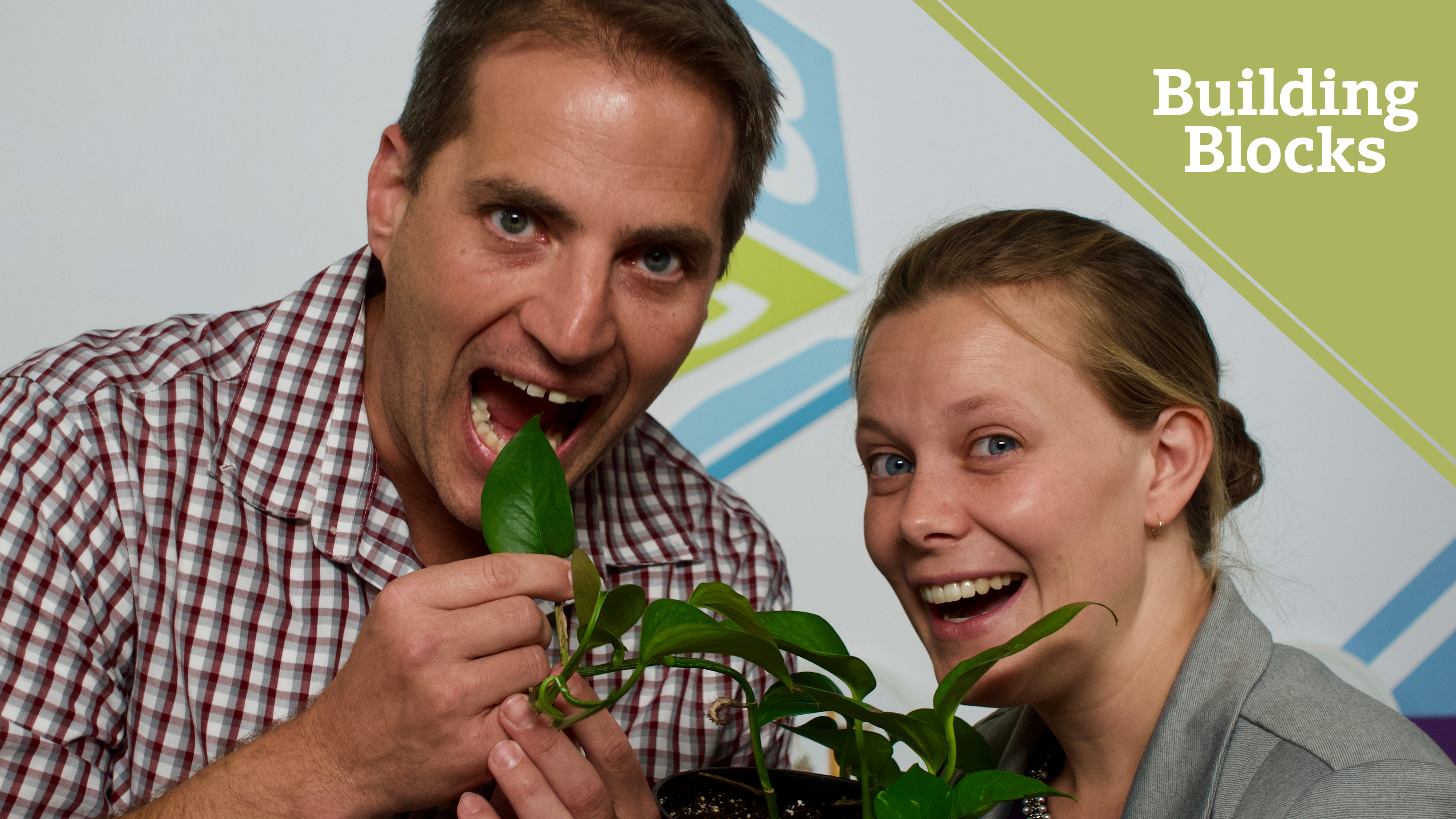 S3 Lesson 07-Four Young Men Chose To obey God Rather Than Man