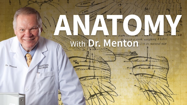 Anatomy with Dr. Menton