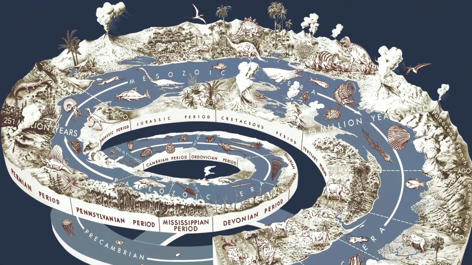 Before You Visit a Natural History Museum...