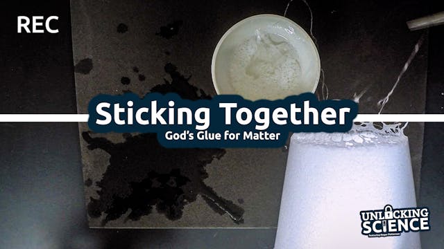 S4E5 Sticking Together