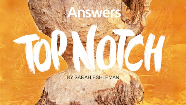 Top Notch (Answers Audio Article)