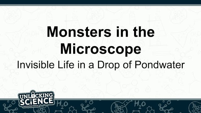 Monsters in the Microscope