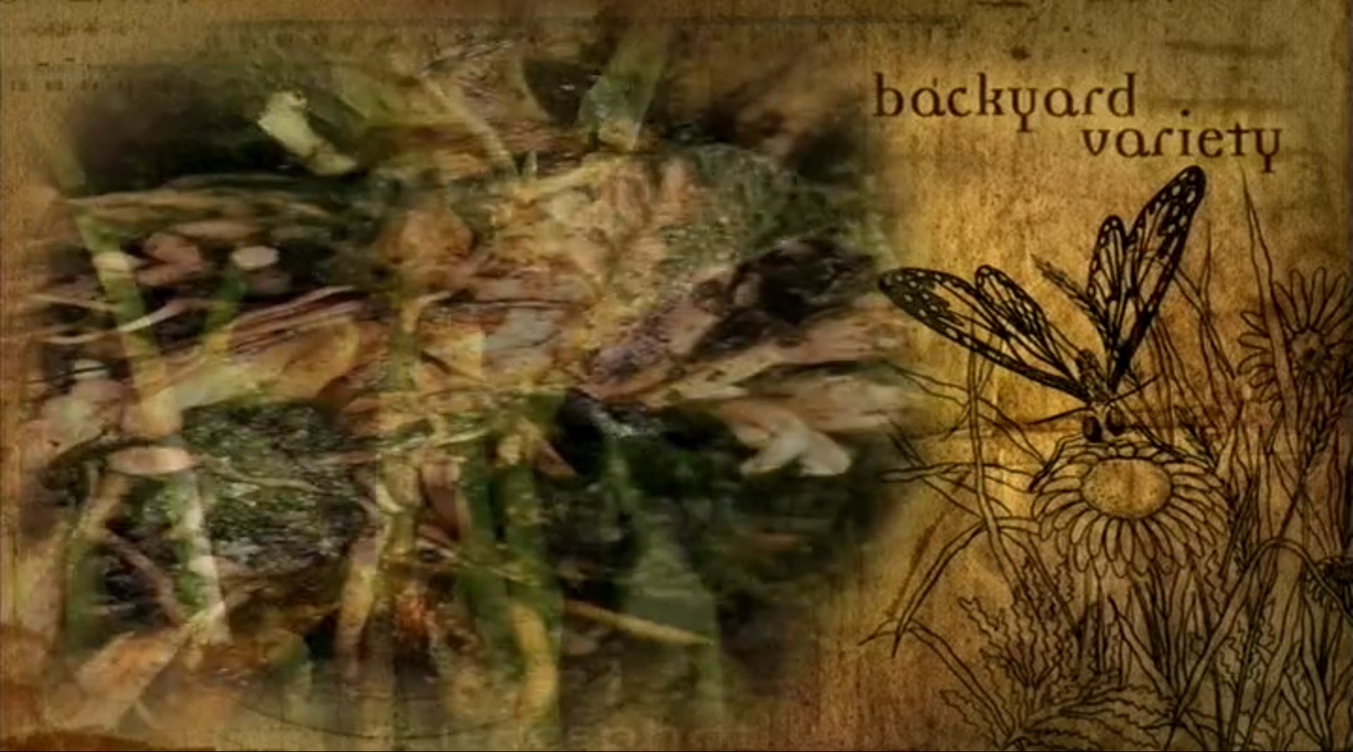 Part 9 - Life: Backyard Variety