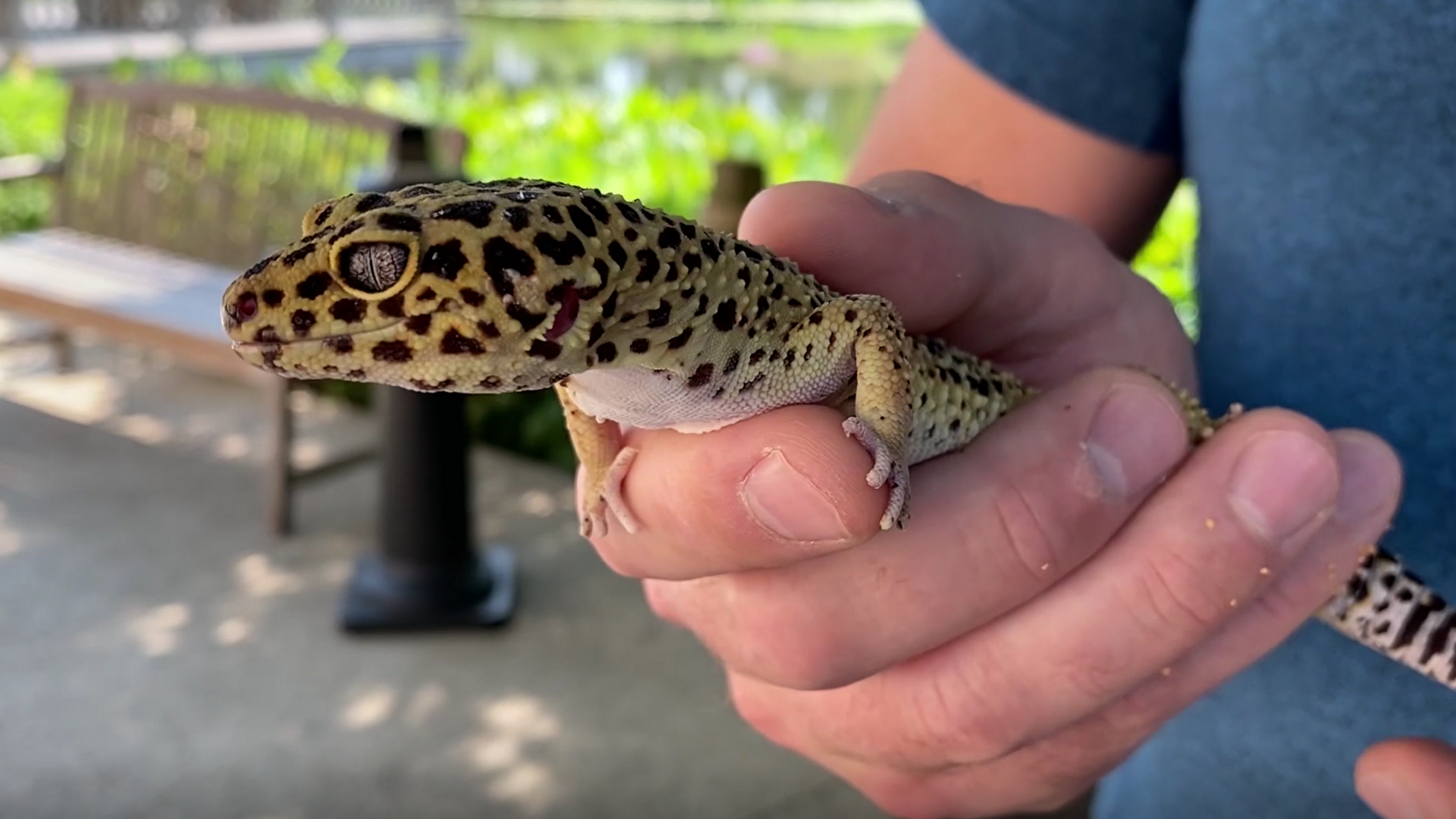 Homeschooling with Hike and Seek