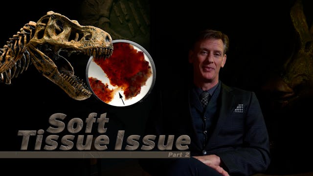 S6E11 Soft Tissue Issue Part 2