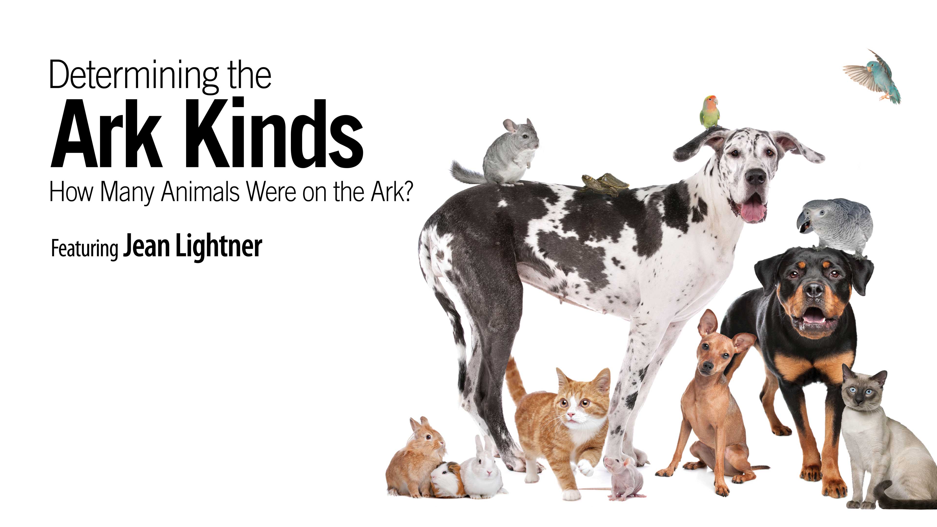 Determining the Ark Kinds