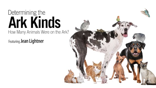 Determining the Ark Kinds