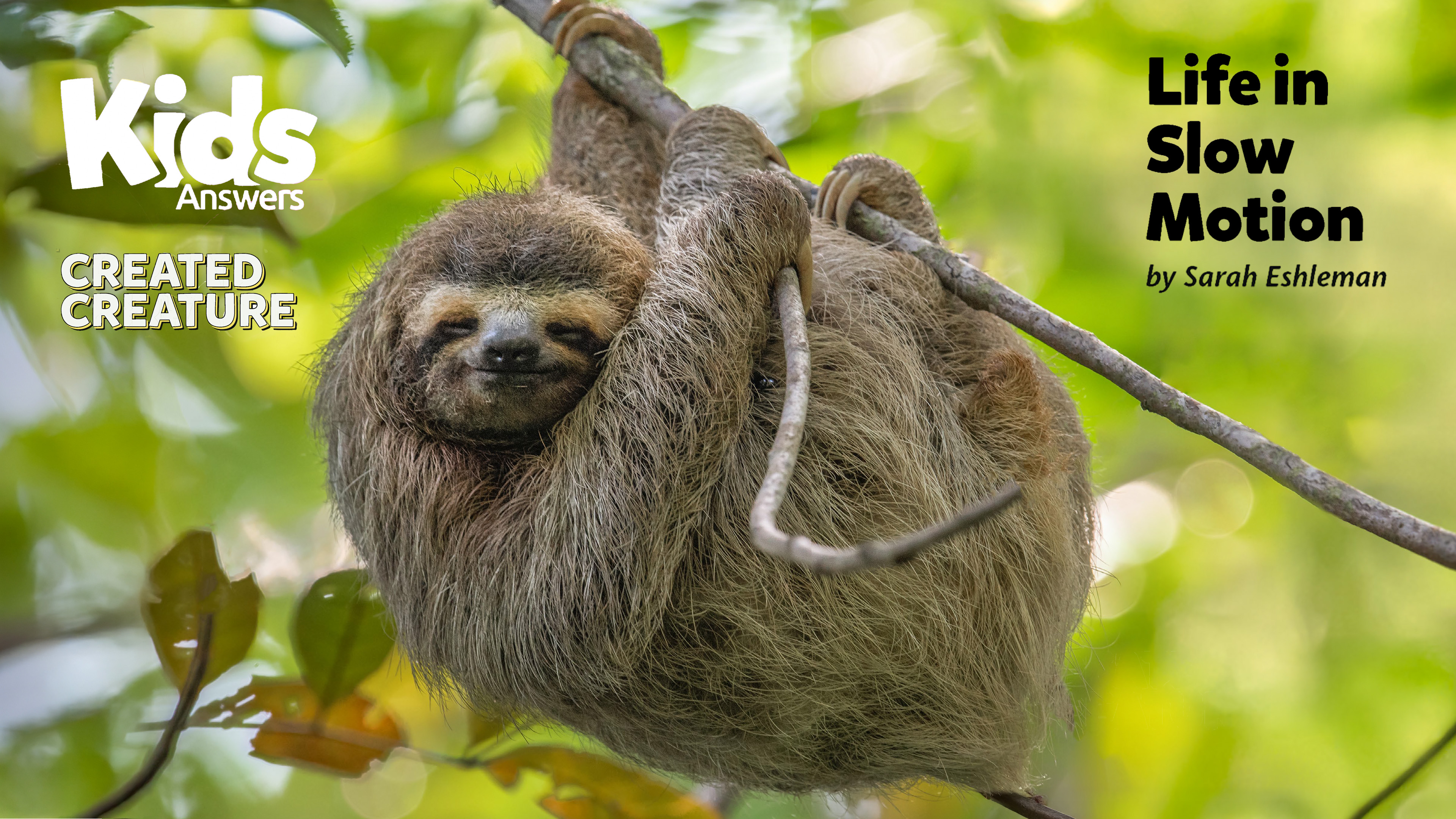 Life in Slow Motion (Kids Answers Audio Article)