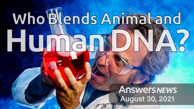 8/30 Who Blends Animal and Human DNA?