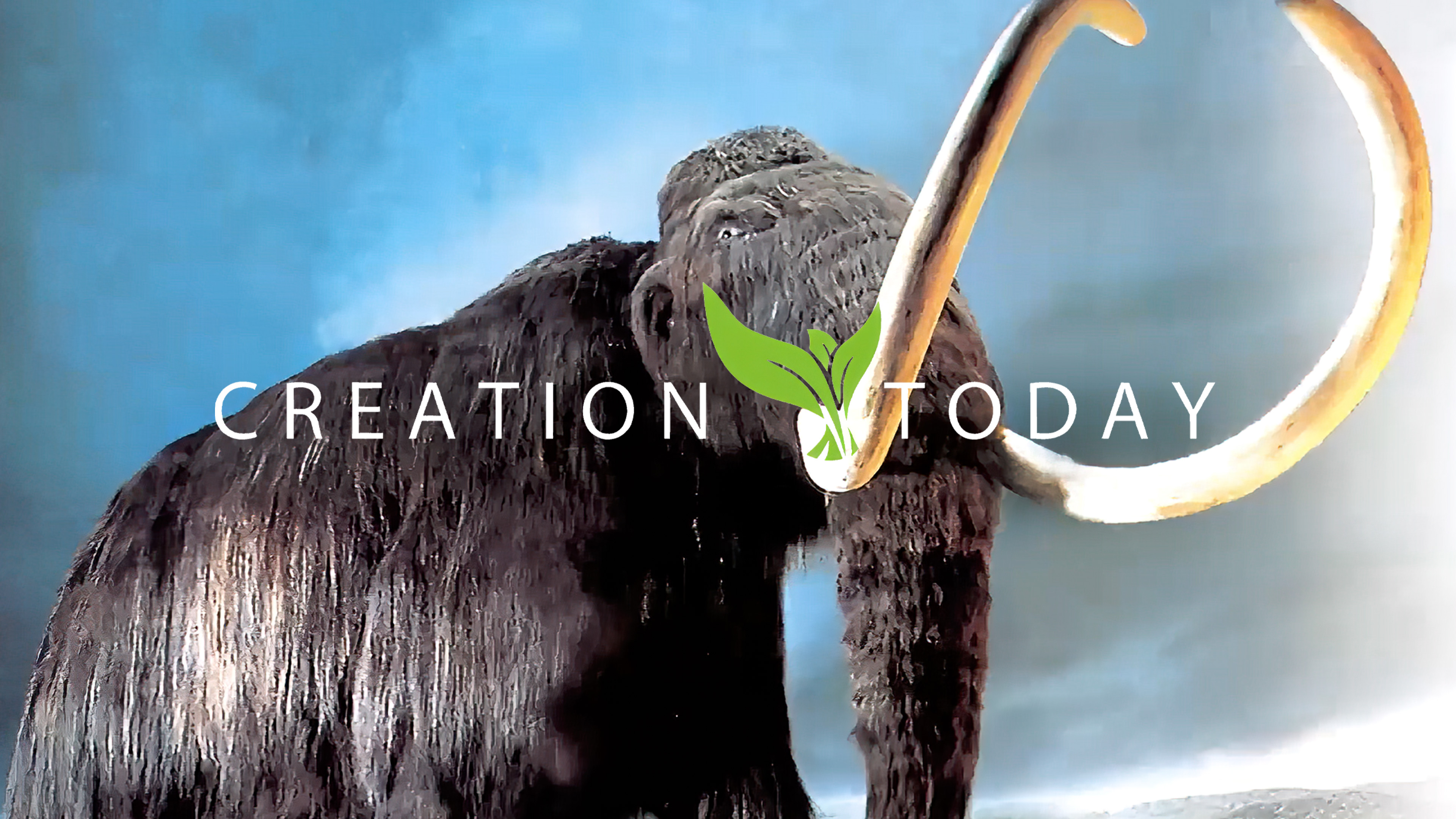 S1E5 The Mystery of the Woolly Mammoth