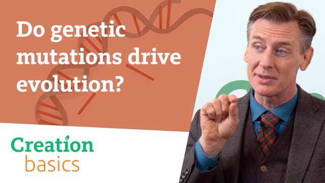 Do genetic mutations drive evolution?