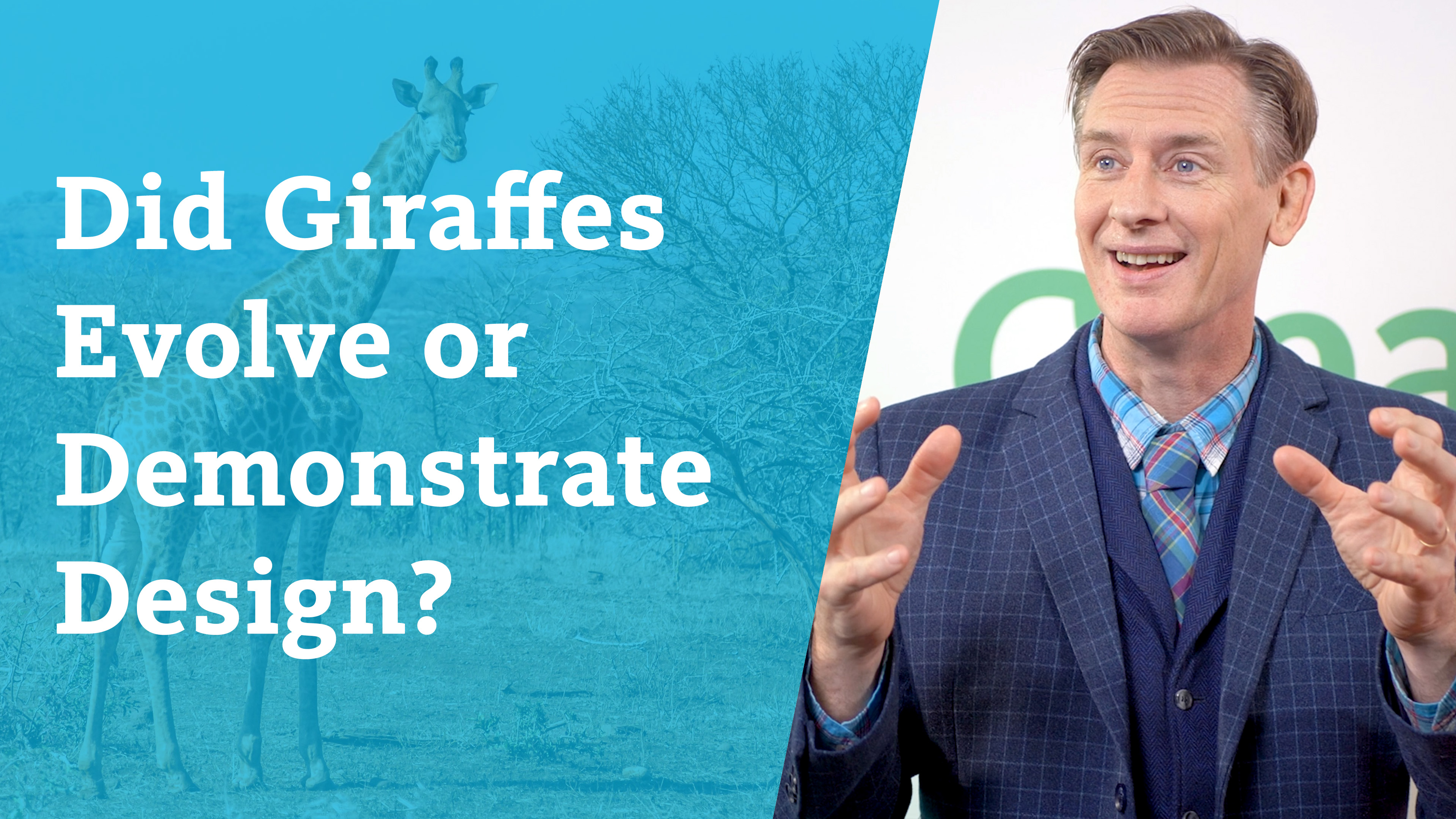 S4E1 Did Giraffe's Evolve or Demonstrate Design?