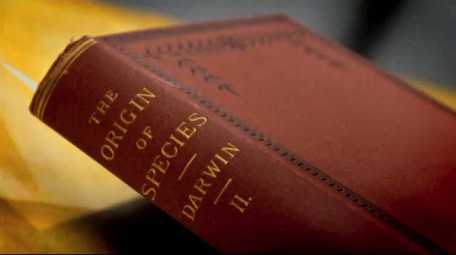 One Race, One Blood Clip About Darwin