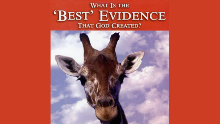 What Is the Best Evidence That God Created?