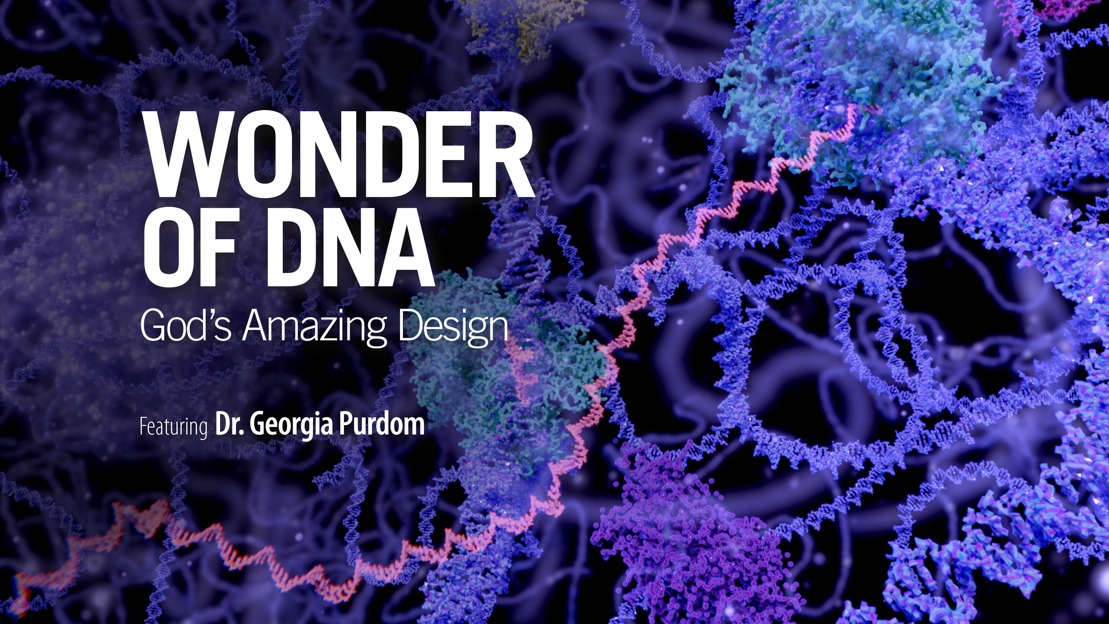 Wonder of DNA