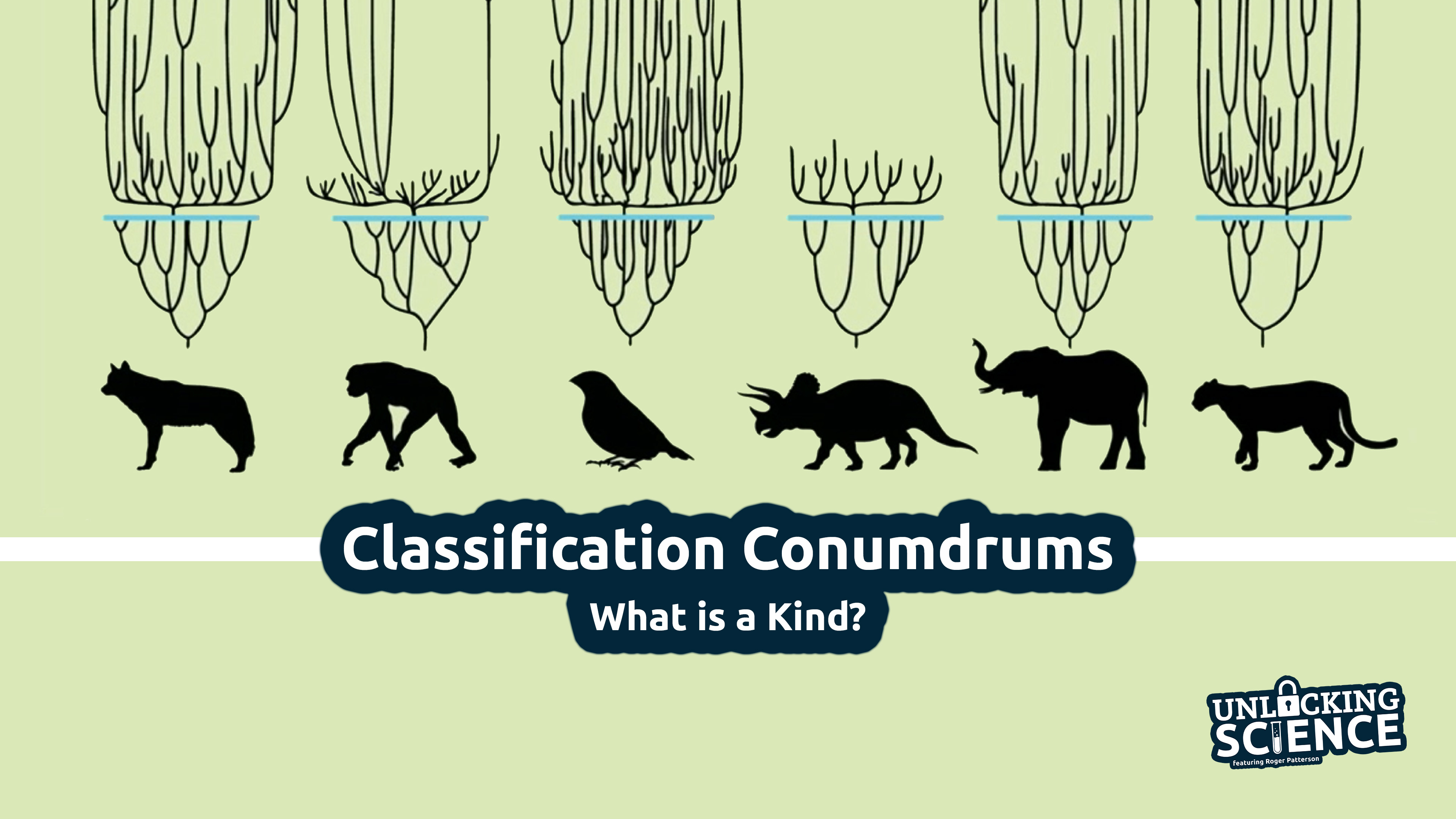 S4E8  Classification Conundrums