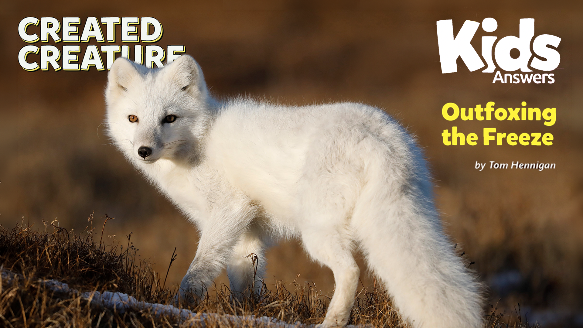 Created Creature: Outfoxing the Freeze (Kids Answers Audio Article)