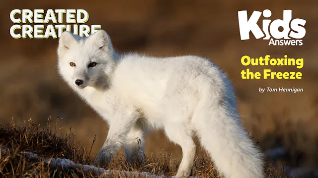 Created Creature: Outfoxing the Freez...