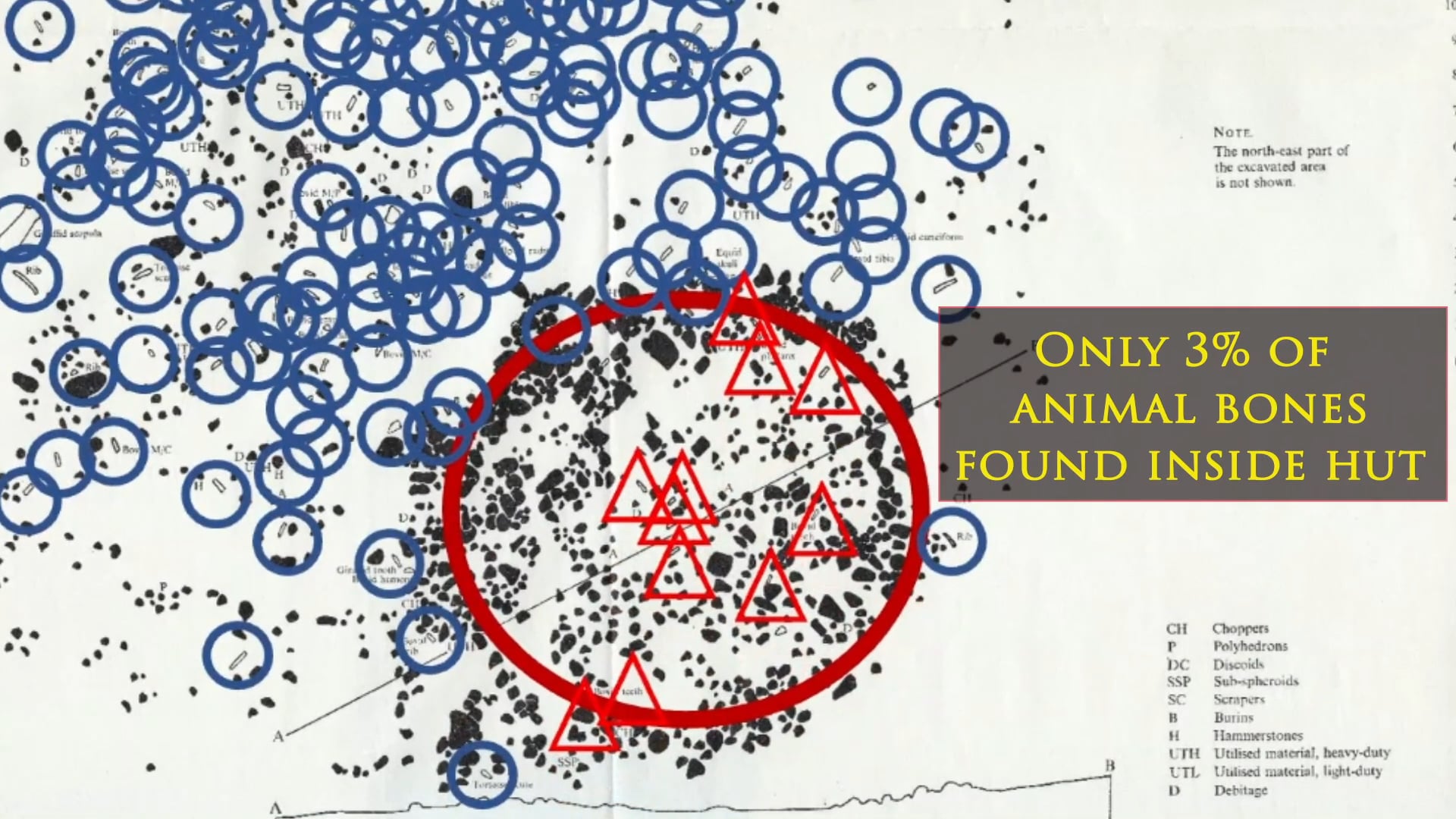 Homo Habilis: Evidence for Evolution or Extinct Ape?