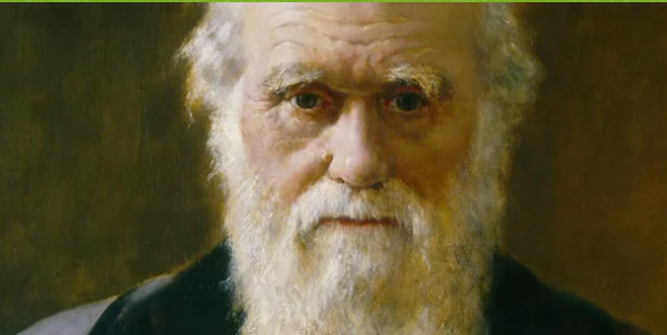 Kids' Evolution Videos