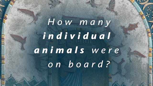 How many individual animals were on b...