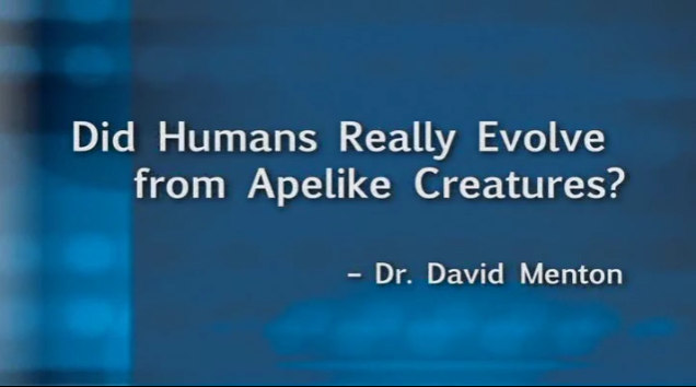 Did Humans Really Evolve from Apelike Creatures?