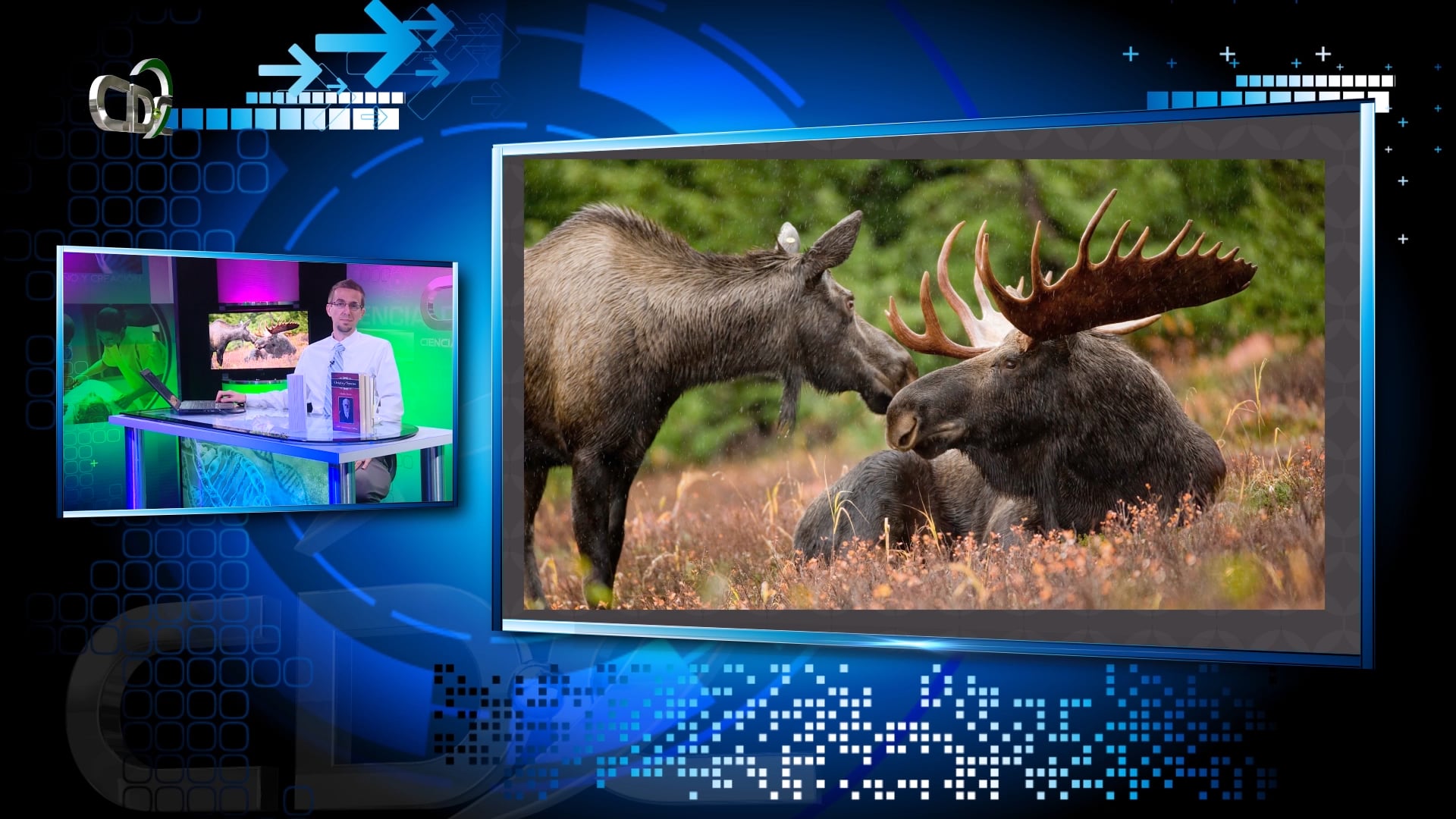 Reemplazando a Darwin Episodio 7