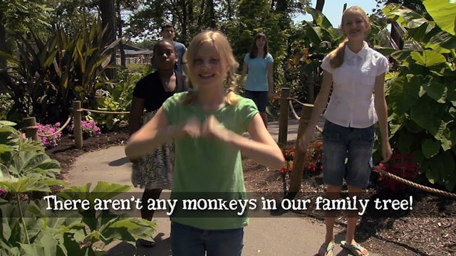 There Aren’t Any Monkeys