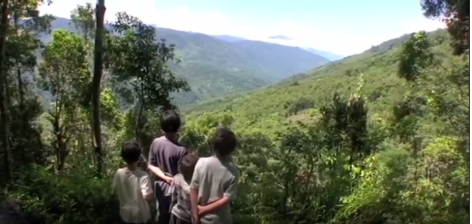 The Wild Brothers: New Discoveries