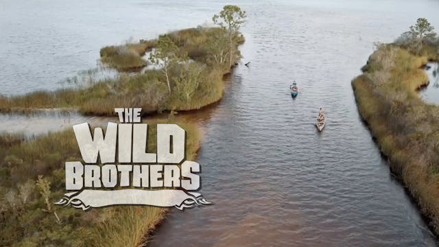 S3E26 The Plane Wreck