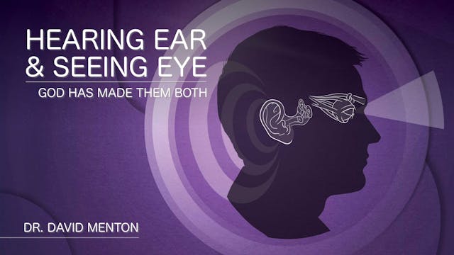 Hearing Ear & Seeing Eye (2003)