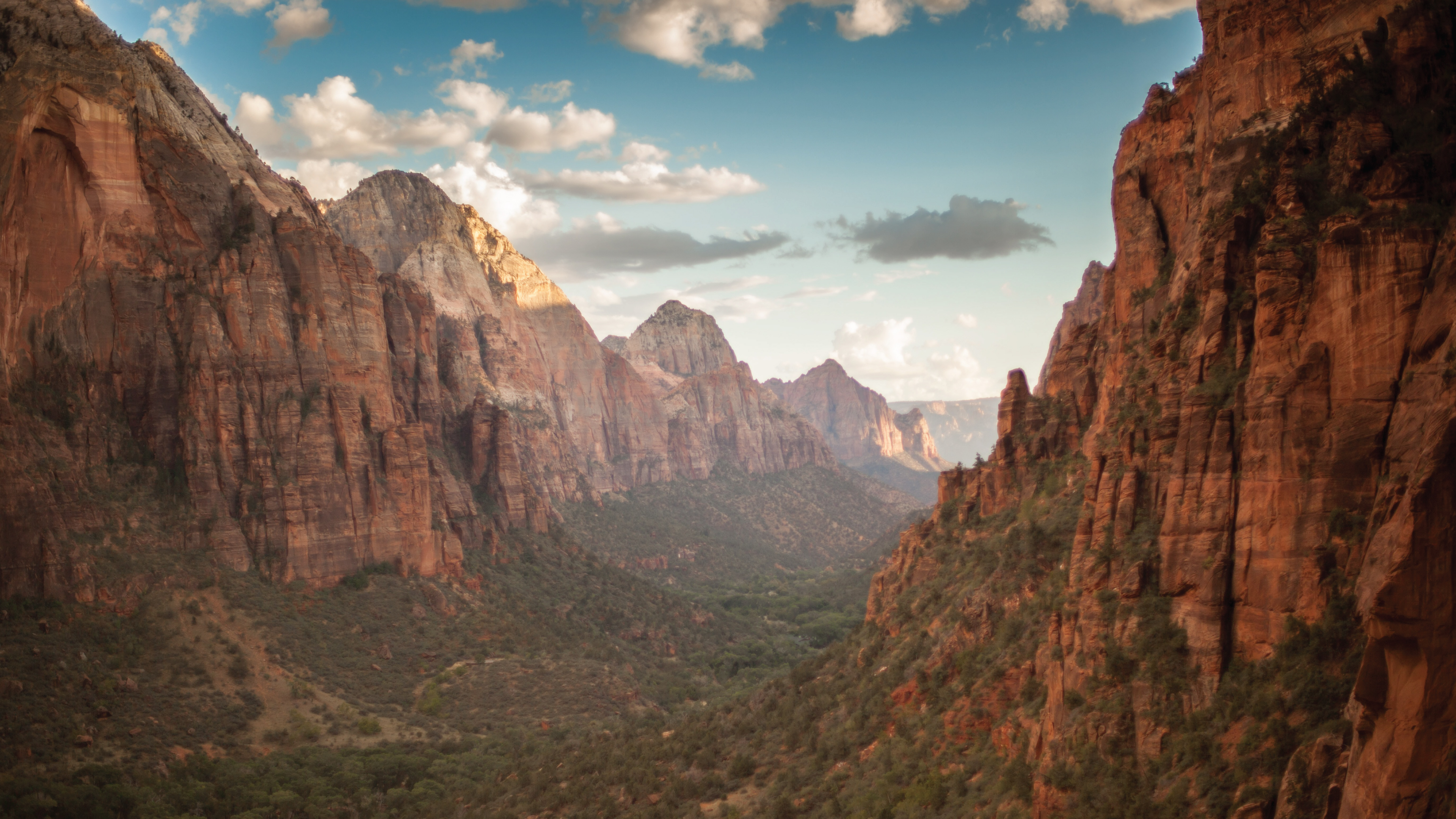 Fossils: Buried in the Flood