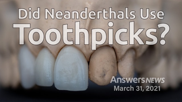 3/31 Did Neanderthals Use Toothpicks?