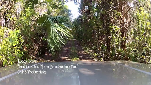 Extra God Created Me To Be A Swampman...