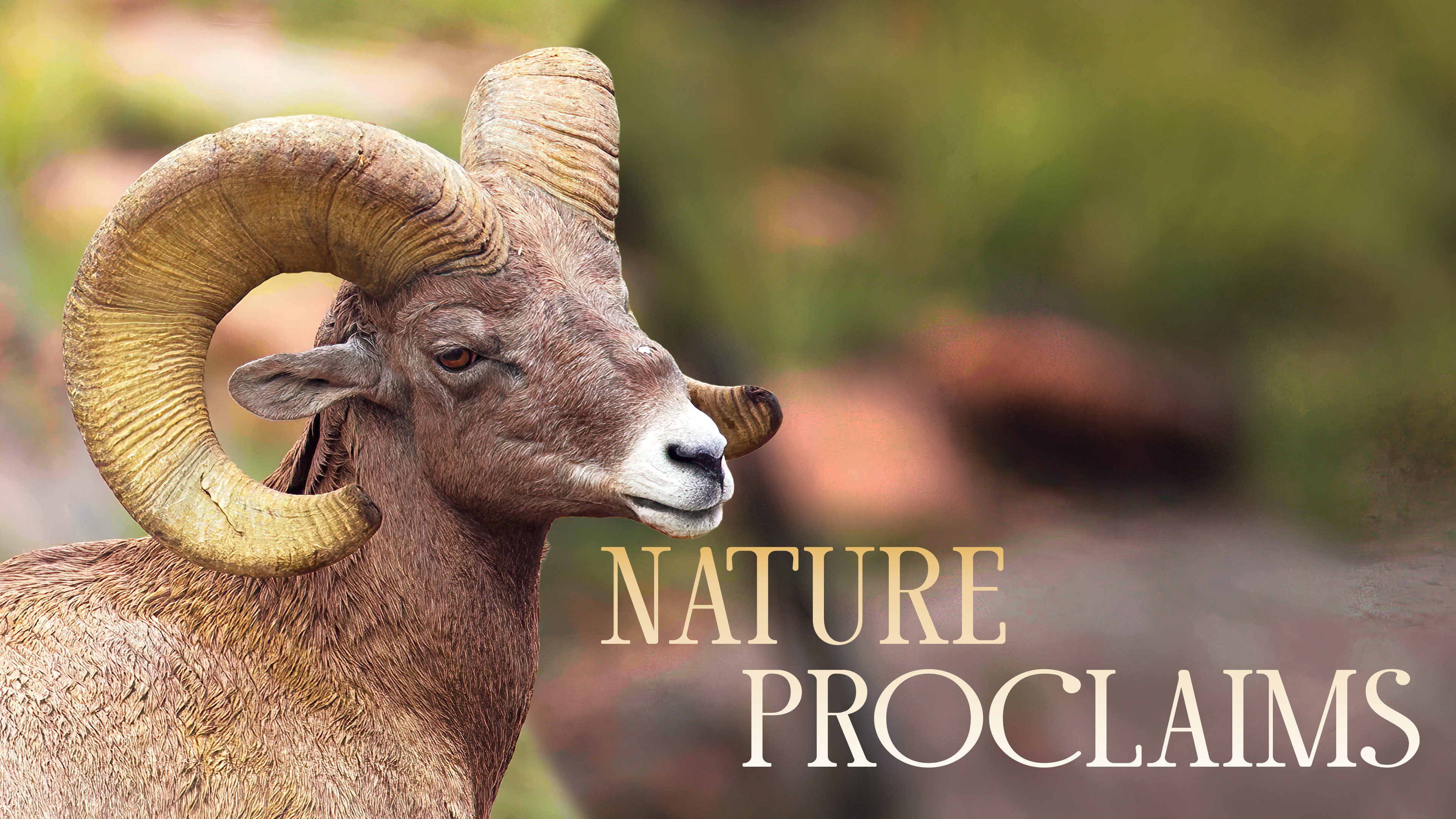 Wonders of His Design