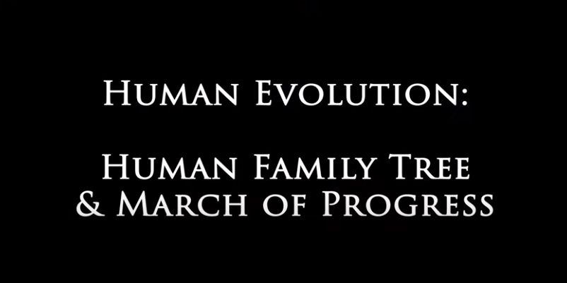 Genesis Impact Clip - Human Family Tree March of Progress